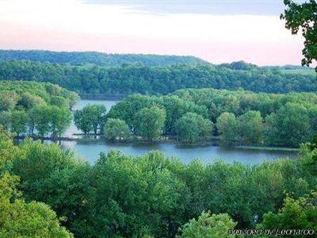 Galena Log Cabin Getaway Bagian luar foto